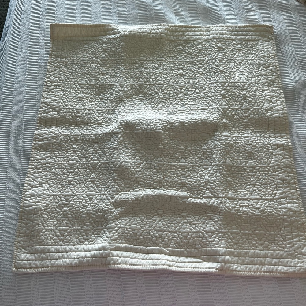 Restoration Hardware Euro Shams, Set of 3